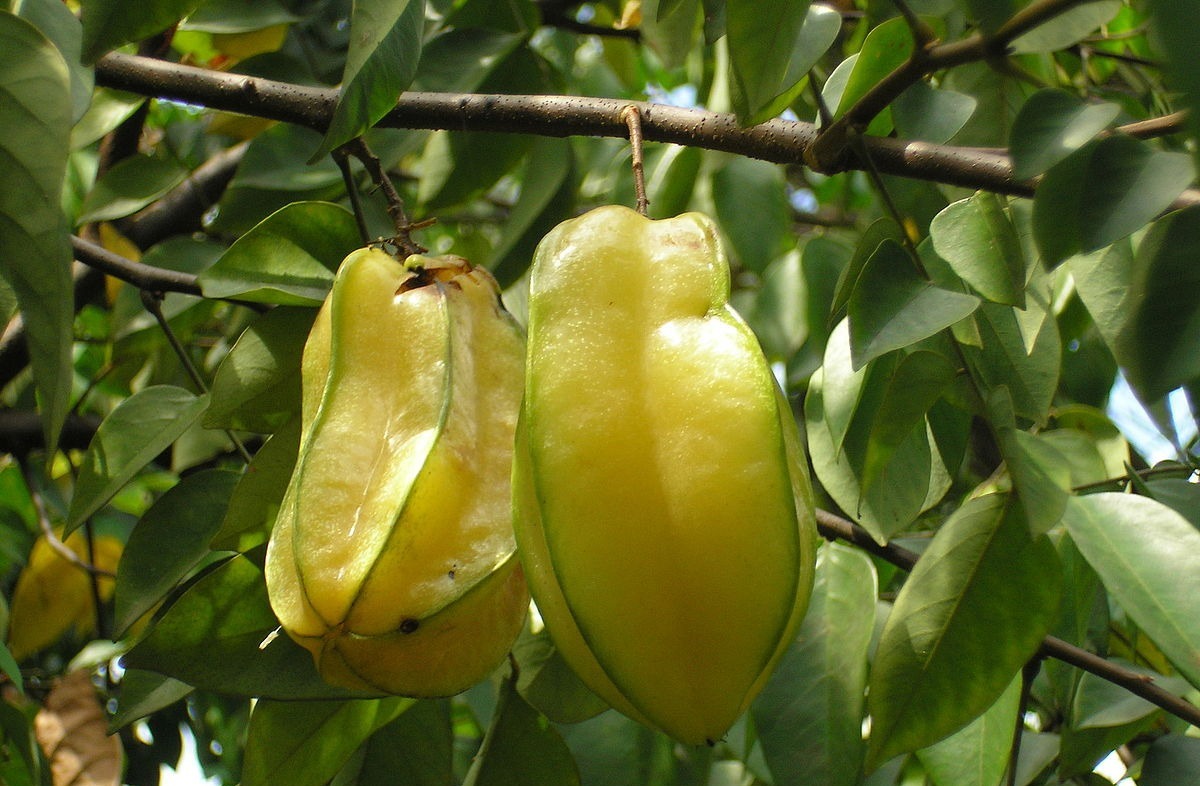 Eat star fruit to make your skin seem more radiant