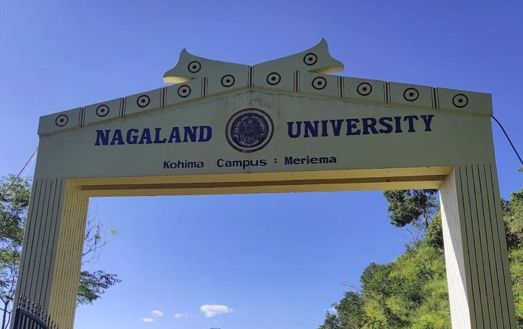 PG Programme In Rural Development And Management For Students In NE