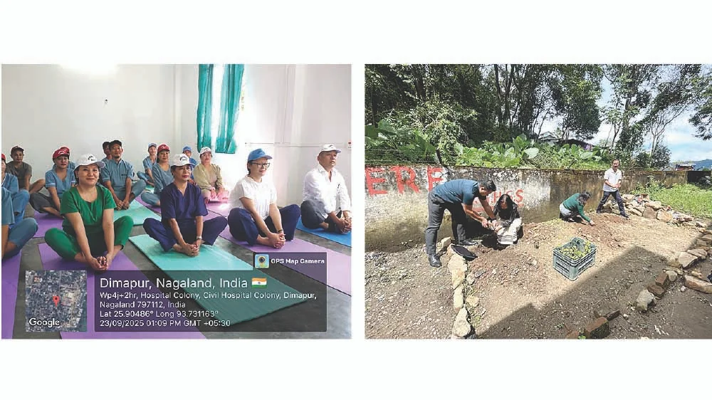 Ayurveda Day Celebrated Across Nagaland with Statewide Participation