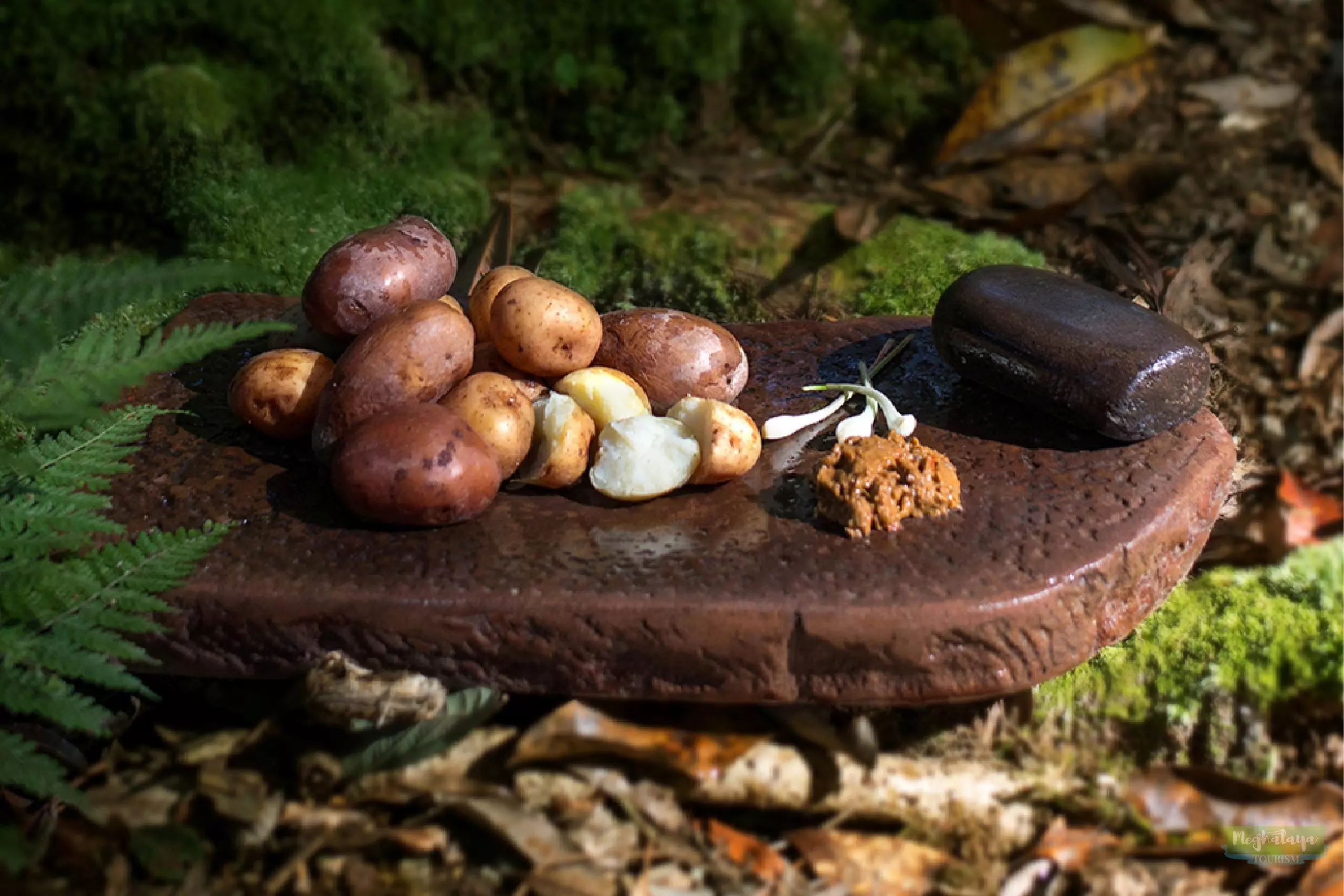 UNESCO to Develop Digital Food Atlas Showcasing Meghalaya’s Tribal and Cosmopolitan Culinary Heritage