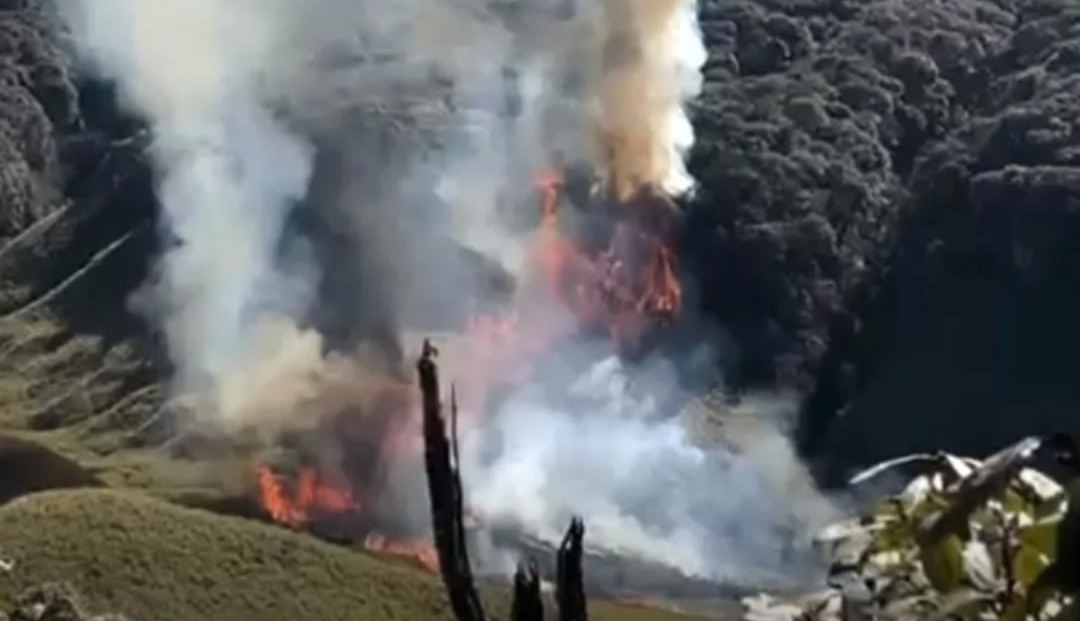 Massive Wildfire Sweeps Through Dzukou Valley, Rare Ecology Under Threat