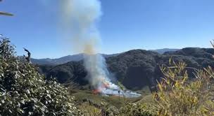 Wildfire in Kohima’s Dzükou Valley Contained After Three Days of Operations