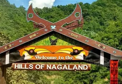 Nagaland’s Hills Nurture Kiwi Dreams, Writes Mathew Rongmei